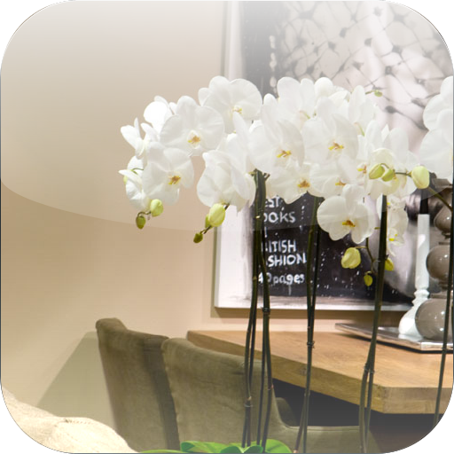 Orchios flower