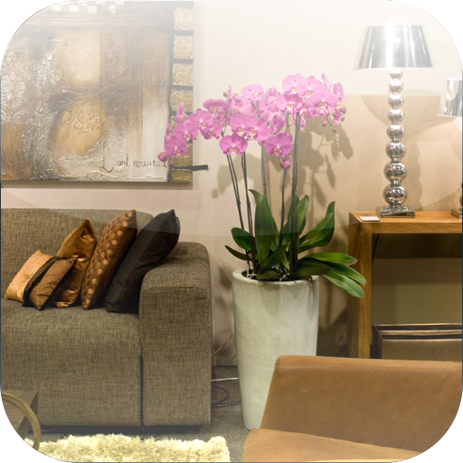 Orchios flower