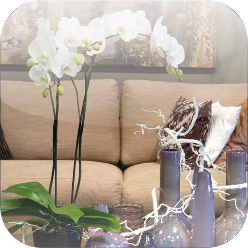 Orchios flower