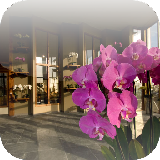 Orchios flower