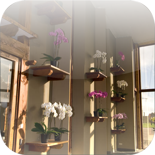 Orchios flower