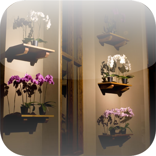 Orchios flower